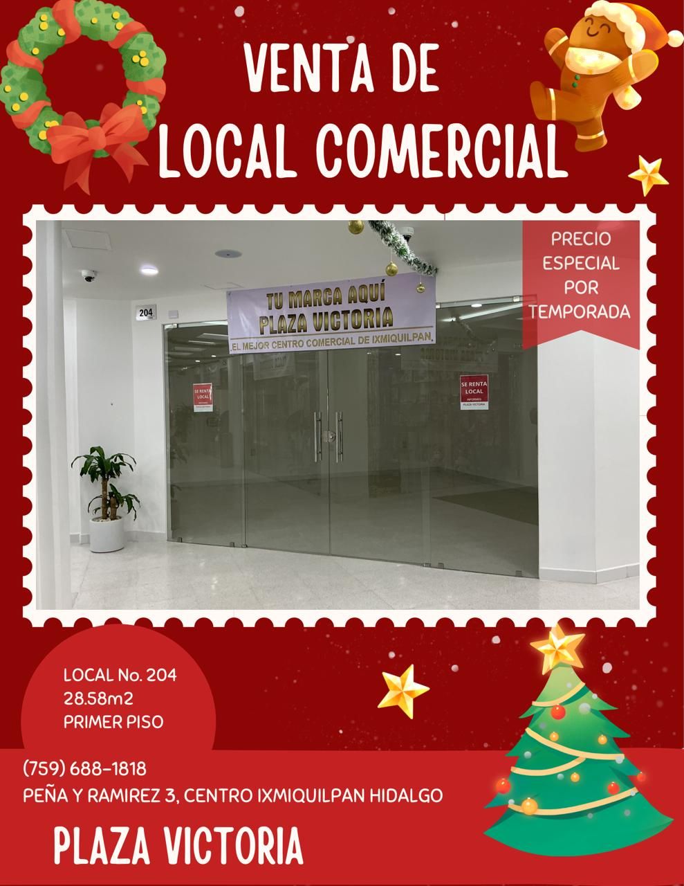 Locales comerciales en Plaza Victoria