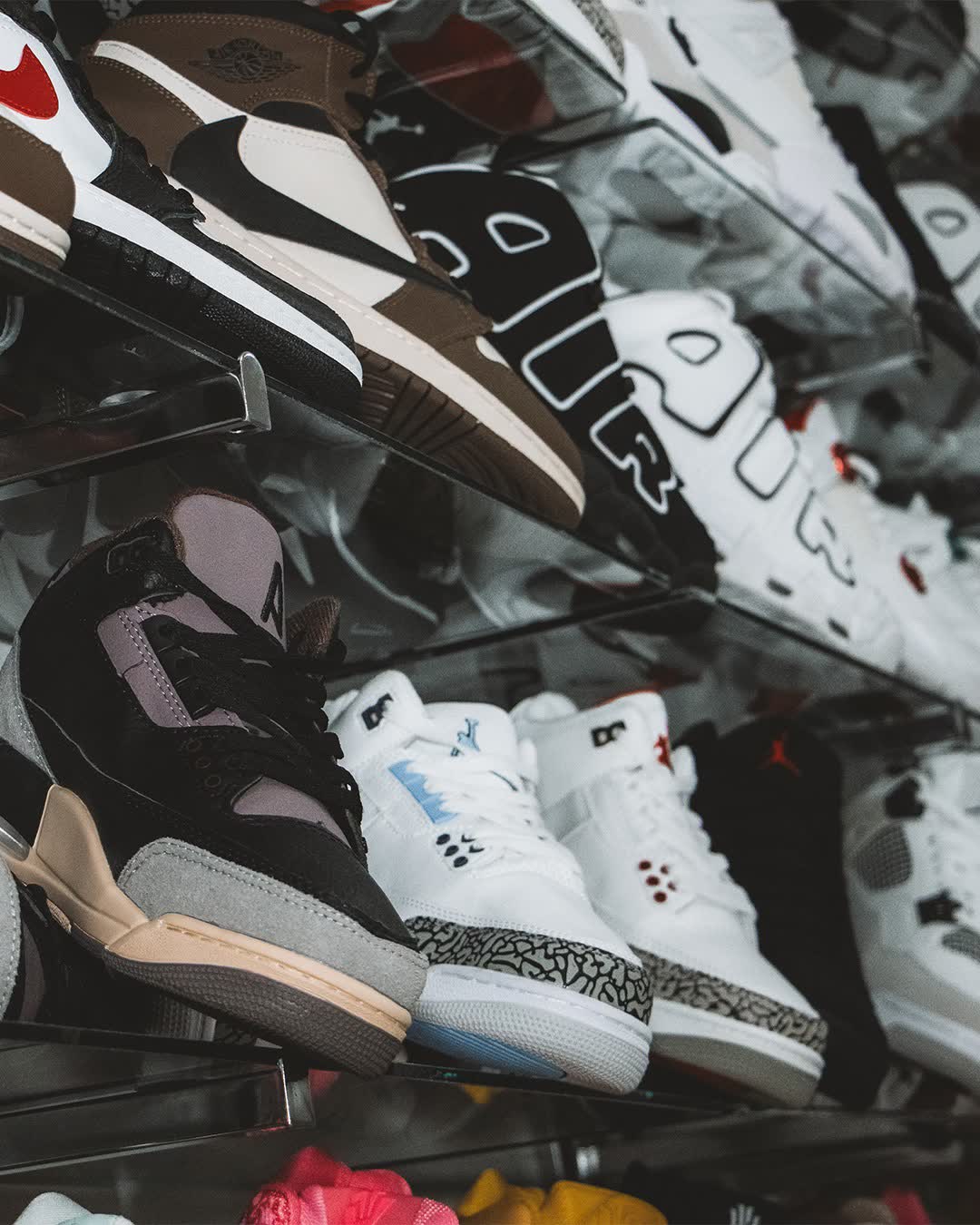 Sneakers Warriors — imagen 2